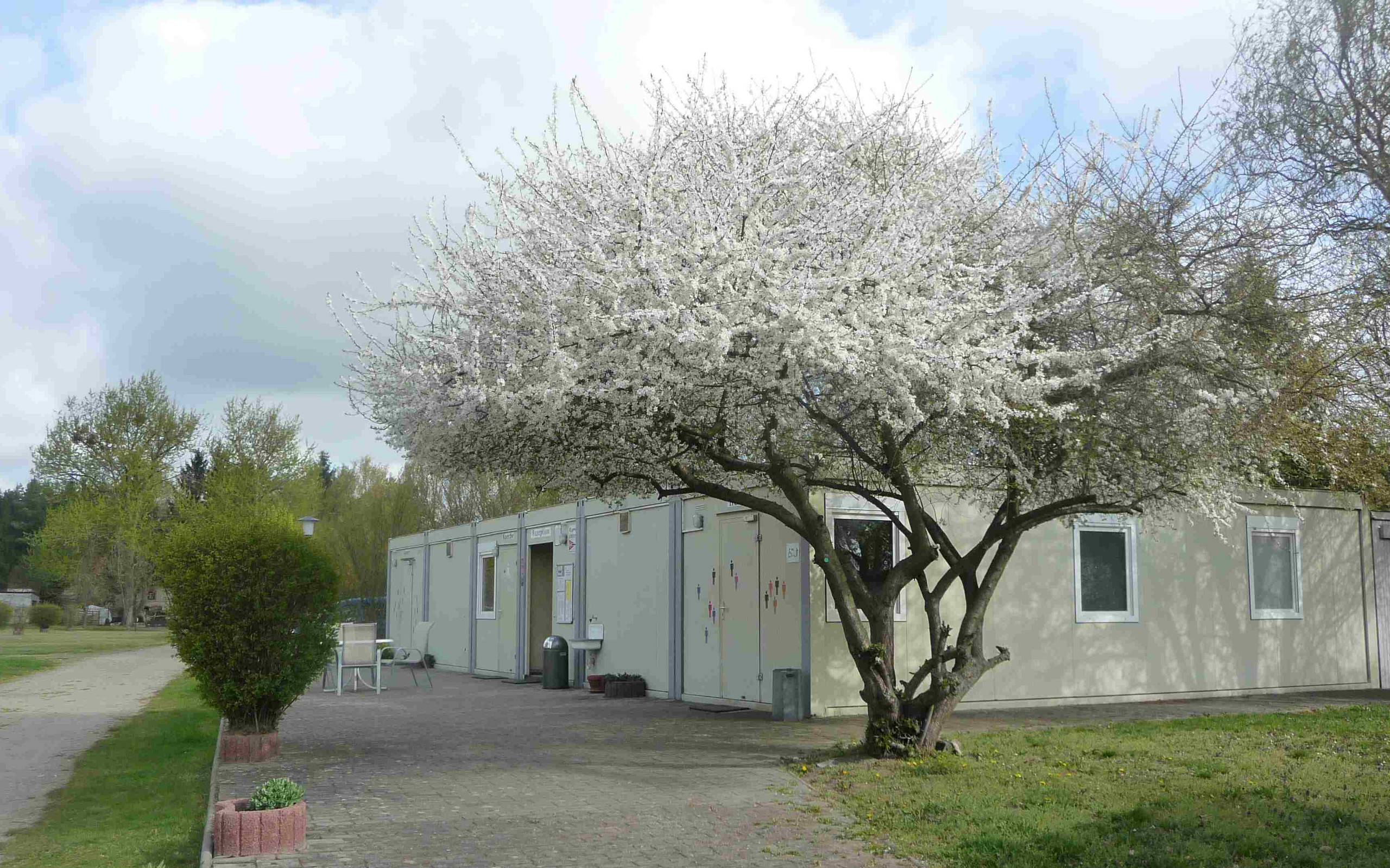 camping teppich vorzelt Camping Vorzeltteppich | 240 g/m² | HDPE main image 1